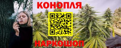дмт Краснодар