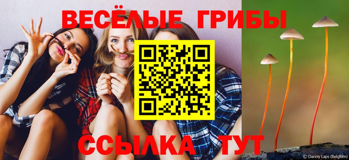 Псилоцибиновые грибы Magic Shrooms  Псилоцибиновые грибы мухоморы  где купить наркотик  Екатеринбург  Вход с VPN 